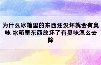 为什么冰箱里的东西还没坏就会有臭味 冰箱里东西放坏了有臭味怎么去除